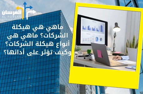 ما هي هي أنواع هيكلة الشركات
